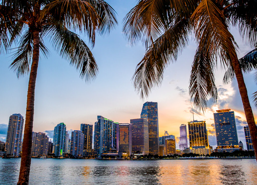 Miami skyline at sunset framed by palm trees